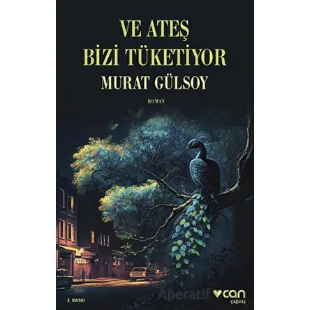 Ve Ateş Bizi Tüketiyor - Murat Gülsoy - Can Yayınları