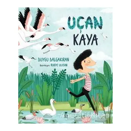 Uçan Kaya - Duygu Dalgakıran - Taze Kitap