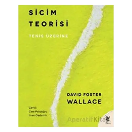 Sicim Teorisi - David Foster Wallace - Siren Yayınları