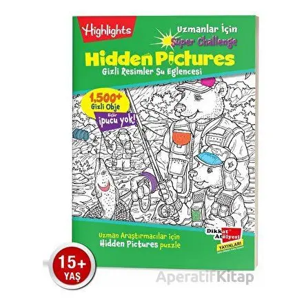 Uzmanlar için Hidden Pictures - Su Eğlencesi Puzzle (Tek Kitap)