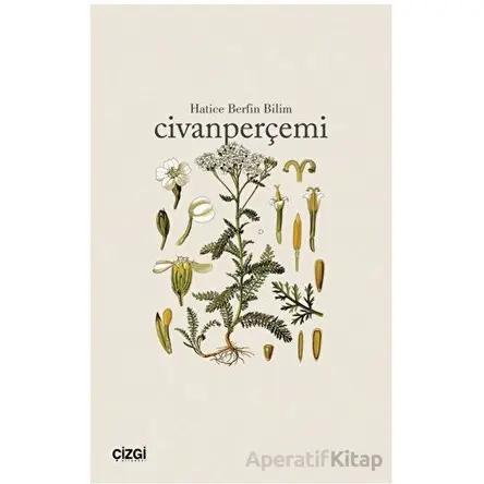 Civanperçemi - Hatice Berfin Bilim - Çizgi Kitabevi Yayınları