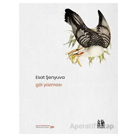 Göl Yazması - Esat Şenyuva - Pikaresk Yayınevi