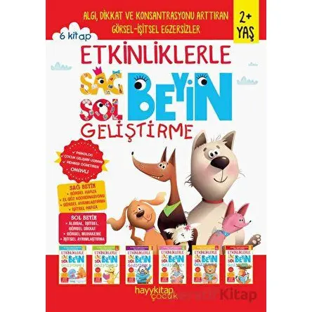 Etkinliklerle Sağ Beyin Sol Beyin Geliştirme (2+ Yaş) 6lı Set - Canan Öztürk - Hayykitap