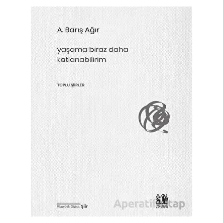 Yaşama Biraz Daha Katlanabilirim - A. Barış Ağır - Pikaresk Yayınevi