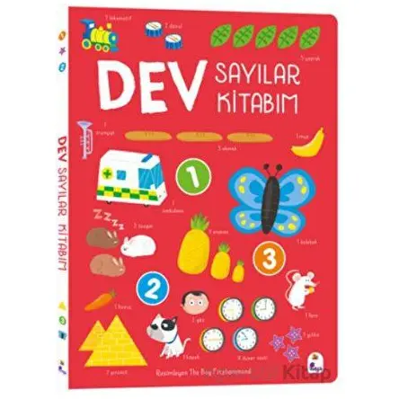 Dev Sayılar Kitabım - The Boy Fitzhammond - İndigo Çocuk