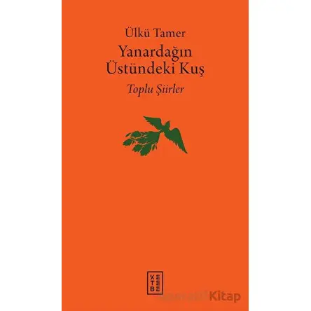 Yanardağın Üstündeki Kuş - Ülkü Tamer - Ketebe Yayınları