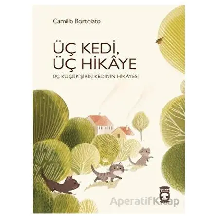 Üç Kedi, Üç Hikaye - Camillo Bortolato - Timaş Çocuk
