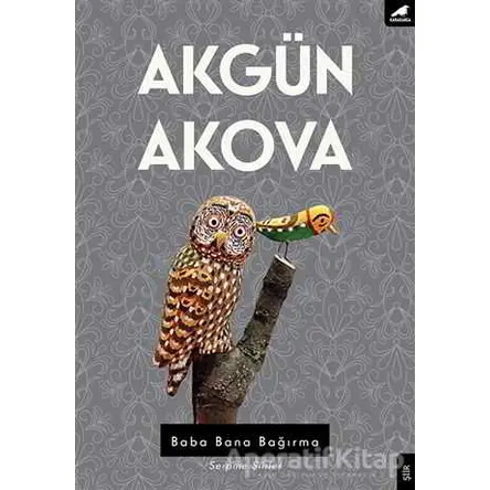 Baba Bana Bağırma - Akgün Akova - Kara Karga Yayınları