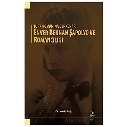 Türk Romanına Derkenar: Enver Behnan Şapolyo ve Romancılığı - Necla Dağ - Grafiker Yayınları