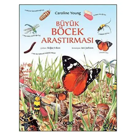 Büyük Böcek Araştırması - Caroline Young - Yapı Kredi Yayınları