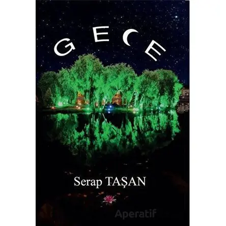 Gece - Serap Taşan - Artshop Yayıncılık