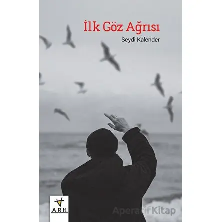 İlk Göz Ağrısı - Seydi Kalender - Ark Kitapları