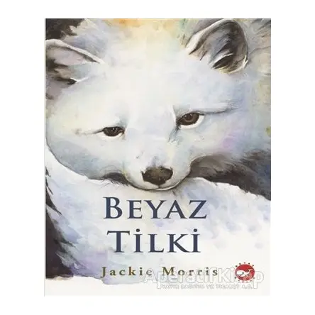 Beyaz Tilki - Jackie Morris - Beyaz Balina Yayınları