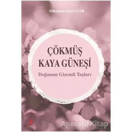 Çökmüş Kaya Güneşi - Süleyman Havadar - Alter Yayıncılık
