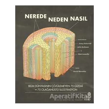 Nerede, Neden, Nasıl - Jenny Volvovski - Hep Kitap