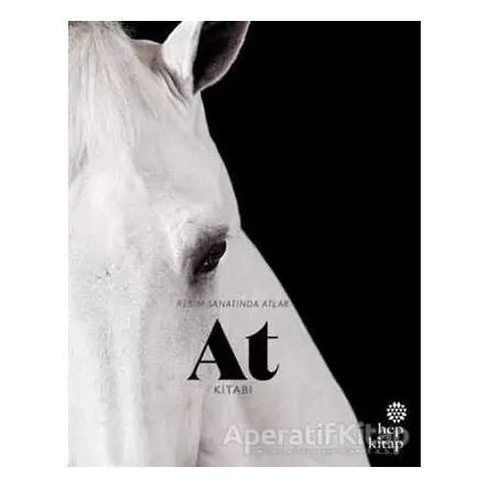At Kitabı - Resim Sanatında Atlar - Angus Hyland - Hep Kitap