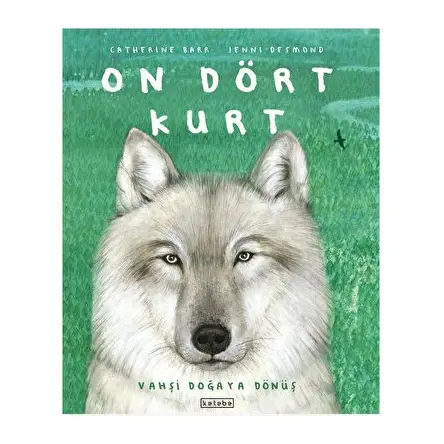 On Dört Kurt - Catherine Barr - Ketebe Çocuk