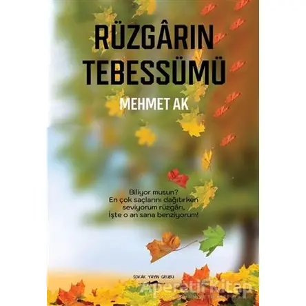 Rüzgarın Tebessümü - Mehmet Ak - Sokak Kitapları Yayınları