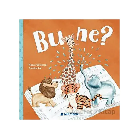 Bu Ne? - Merve Gülcemal - Multibem Yayınları