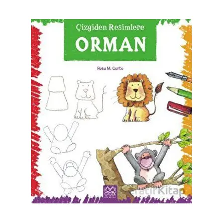 Çizgiden Resimlere - Orman - Rosa Maria Curto - 1001 Çiçek Kitaplar