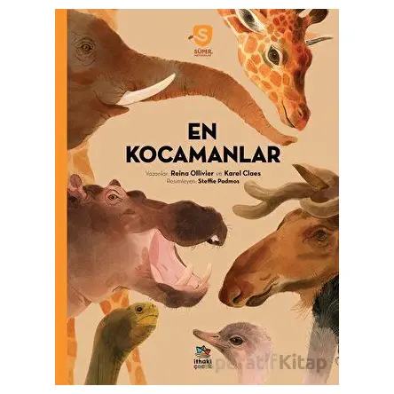 En Kocamanlar - Süper Hayvanlar Serisi - Reina Ollivier - İthaki Çocuk Yayınları