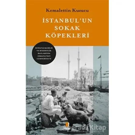 İstanbulun Sokak Köpekleri - Kemalettin Kuzucu - Kapı Yayınları