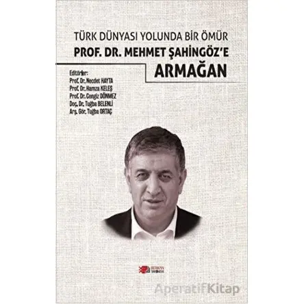 Türk Dünyası Yolunda Bir Ömür Prof. Dr. Mehmet Şahingöz’e Armağan - Kolektif - Berikan Yayınevi