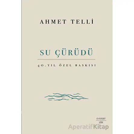 Su Çürüdü - Ahmet Telli - Everest Yayınları