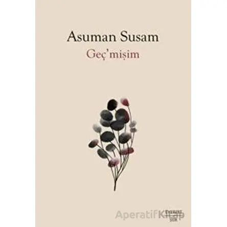 Geç’mişim - Asuman Susam - Everest Yayınları