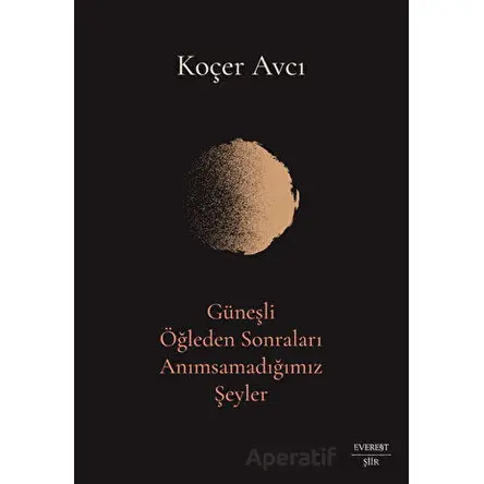 Güneşli Öğleden Sonraları Anımsamadığımız Şeyler - Koçer Avcı - Everest Yayınları