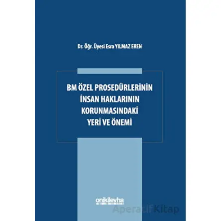 BM Özel Prosedürlerinin İnsan Hakları Korumasındaki Yeri ve Önemi