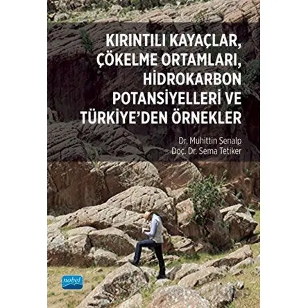 Kırıntılı Kayaçlar, Çökelme Ortamları, Hidrokarbon Potansiyelleri ve Türkiye’den Örnekler