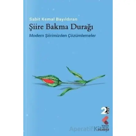 Şiire Bakma Durağı - Sabit Kemal Bayıldıran - Klaros Yayınları