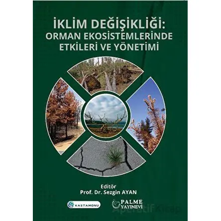 İklim Değişikliği : Orman Ekosistemlerinde Etkileri ve Yönetimi - Sezgin Ayan - Palme Yayıncılık