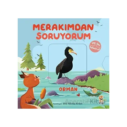 Merakımdan Soruyorum - Orman - Kolektif - Sincap Kitap
