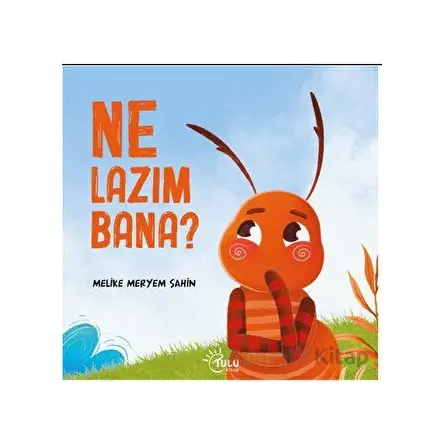 Ne Lazım Bana - Melike Meryem Şahin - Tulu Kitap