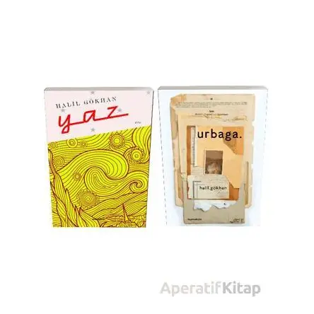 Şairin Düzyazısı Düzyazının Şairi Seti - Halil Gökhan - Kafe Kültür Yayıncılık