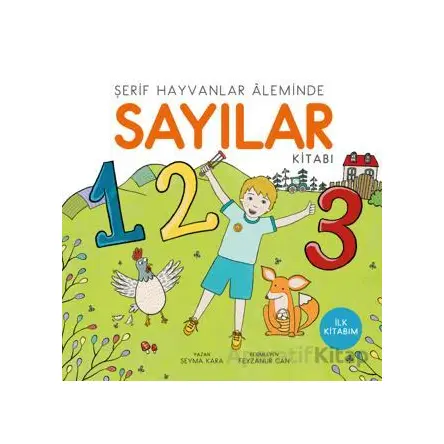 Sayılar - Şeyma Kara - Uçan Kitap