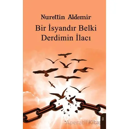 Bir İsyandır Belki Derdimin İlacı - Nurettin Aldemir - Dorlion Yayınları