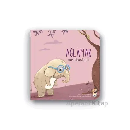 Nasıl Başladı? - Ağlamak - Ayşe Aydemir - Sincap Kitap