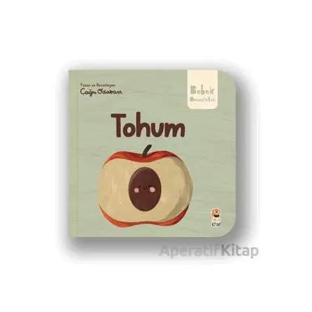 Tohum - Çağrı Odabaşı - Sincap Kitap