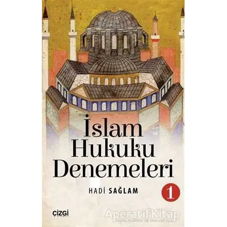 İslam Hukuku Denemeleri 1 - Hadi Sağlam - Çizgi Kitabevi Yayınları