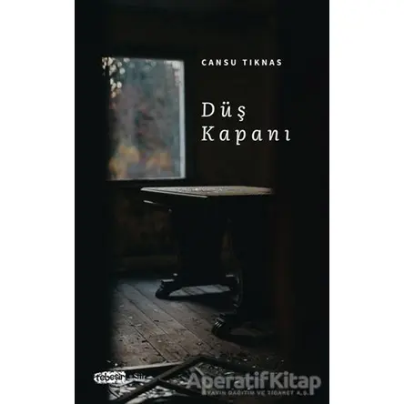 Düş Kapanı - Cansu Tıknas - Tebeşir Yayınları
