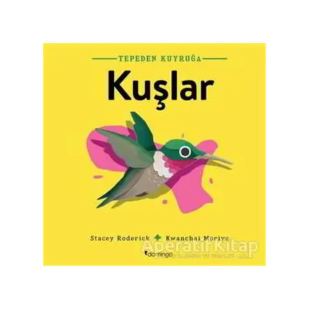 Kuşlar - Tepeden Kuyruğa - Stacey Roderick - Domingo Yayınevi