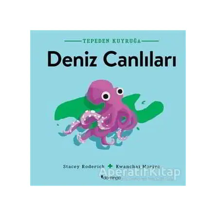 Deniz Canlıları - Tepeden Kuyruğa - Stacey Roderick - Domingo Yayınevi