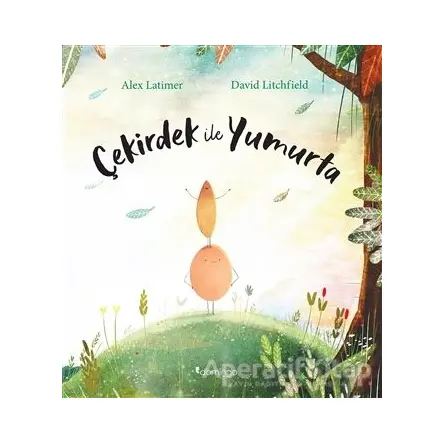 Çekirdek İle Yumurta - David Litchfield - Domingo Yayınevi