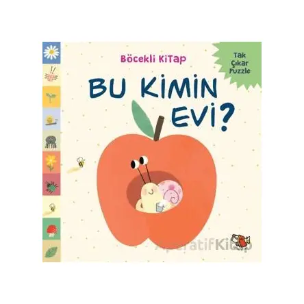 Bu Kimin Evi? - Tolga Yozcu - Uçan Kitap