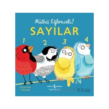 Sayılar - Müthiş Eğlenceli! - Courtney Dicmas - İş Bankası Kültür Yayınları