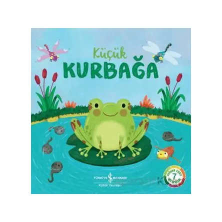 Küçük Kurbağa - Wednesday Jones - İş Bankası Kültür Yayınları