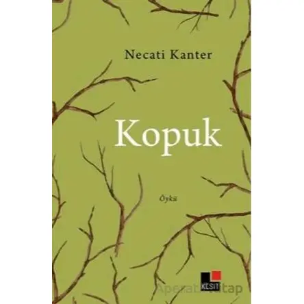 Kopuk - Necati Kanter - Kesit Yayınları